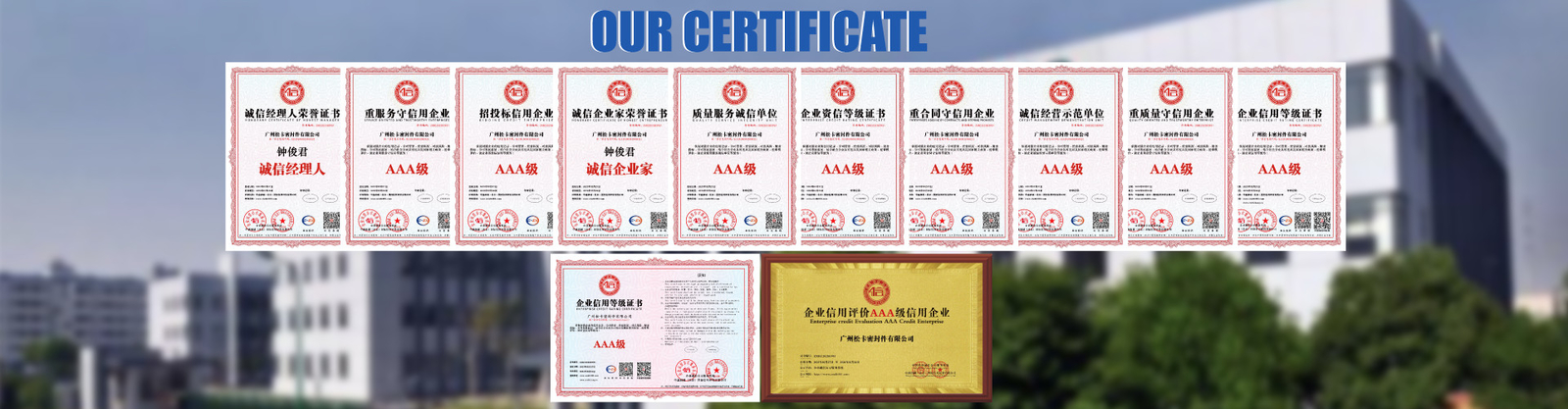 quality Hydraulic Oil Seals factory