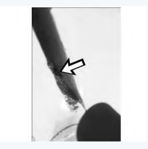 China Guangzhou Suncar Seals Co., Ltd. latest company news about Main